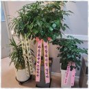 꿈꾸는 영어학원 이미지