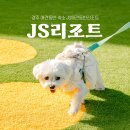 제이에스당구장 - 오산시 오산로 54 | 경주 애견펜션 강아지랑 여행! JS애견동반리조트 1박 후기