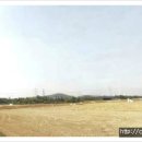 저수지목장 이미지