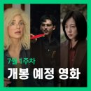 숀아이비엔엘주 | 위클리무비 26년 7월 1주차 개봉 예정 영화 Best 5 - 마티 슈프림 그린랜드 2 외 3편