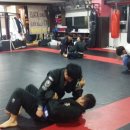 흑룡체육관 이미지