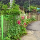 애련농장 이미지