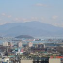 백산수산 Daum카페