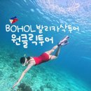보홀 발리카삭 투어 원클릭 후기 조인투어C 버진아일랜드재개장