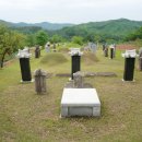 원주김씨 묘역 이미지