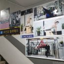 잠실새내필라테스 3:1 소그룹 로인짐필라테스 솔직후기 및 리뷰