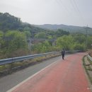 신만대교 이미지