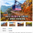 (주)제주파랑새관광여행사 | [뚜벅이여행] 내돈내산 파랑새 투어 대둔산,장태산 당일여행 패키지 후기_25.11.01