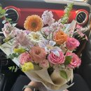 유비아플레르 이미지
