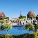 팜팜스토어 이미지