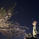 크레페니아 이미지