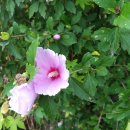 농기계임대사업소(수승대권역) 이미지