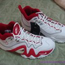 [간단리뷰] Zoom Flight V (줌플라이트5/줌플/줌키드) 이미지