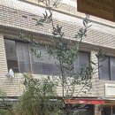 나랑히요 이미지