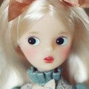 cozy24(코지) 이미지