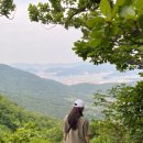 N9001-5 | 등산 무릎보호대 추천 김남일 잠디 N밴드 잘쓰는중
