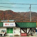 월드다방 이미지