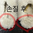 예스크린세탁협동조합 이미지