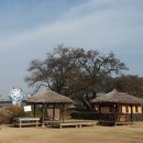 삼강농장 이미지