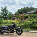 서원해장국 이미지