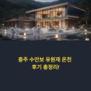유원재 | 충주 수안보 유원재 온천 후기 총정리! 가성비부터 럭셔리까지