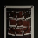 카페꽃길 | 서면 방탈출 카페 추천 회귀 부산공테꽃길 후기