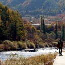 백천계곡 이미지