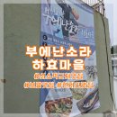 하효마을회관 | 쇠소깍 근처 하효동 맛집 보말 전문 부에난소라 하효마을점 내돈내산 추천