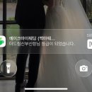 W+. 결혼준비카페 메이크마이웨딩 솔직후기 (더드림신부 등업!👑)