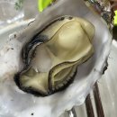 금강산수산횟집 | 구리농수산물시장 횟집 방어 맛집 석화굴찜 성훈수산,서울수산