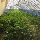 이상근농장 이미지