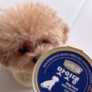 (주)인섹트바이오텍 이미지