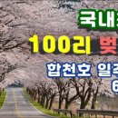 합천호회양관광단지 이미지