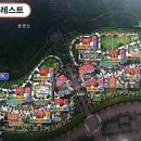 포레스트2 이미지