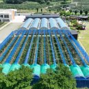 농식품 스마트 물류 혁신 이미지