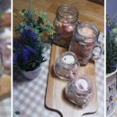 댕댕레시피 이미지