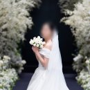 살롱드마마 | 아뜰리에블룸 :: 가성비 좋은 10만원대 장미 본식부케 세트(부토니에, 혼주코사지 포함) 내돈내산 후기