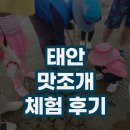 청포대 별주부 | 태안 청포대 별주부마을 맛조개 체험 후기 | 아이들과 갯벌 체험