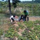 김기선농장 이미지