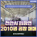 대지-2010 이미지