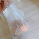 사우스코어