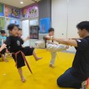 경희대 으뜸 태권도장 이미지