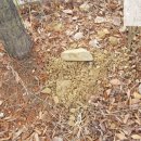 송림 초등학교 병설 유치원 이미지