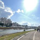 포천 | 포천 오일장 후기, 쪽갈비