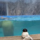 일산 | 🚄 메리 보러 GTX 타고 일산까지… 결국 또 다녀왔다 (아쿠아플라넷 일산 후기)