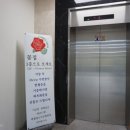 플라워토피아