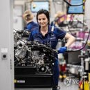 The Euro Motors 이미지