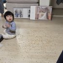 사진촬영 취미반 | 🤰 임신기록8 :: 31주) 안양 애니스튜디오 만삭사진 촬영후기 with 첫째 (내돈내산 계약)