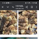 죽순판매합니다 이미지