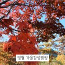 위드힐링캠핑장 이미지